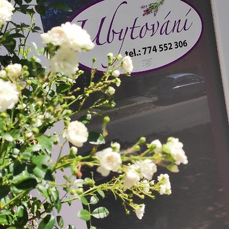 Apartman Cafe U Kordulky Ratiskovice Exteriör bild